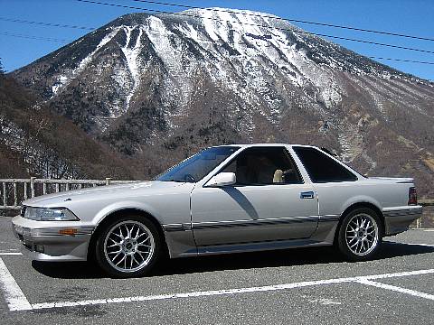 shing�|chang�̔���