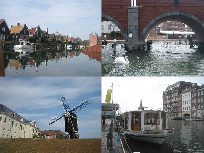 shing�|chang�̔���