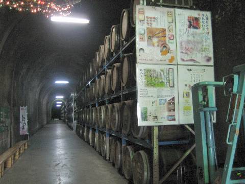 shing�|chang�̔���