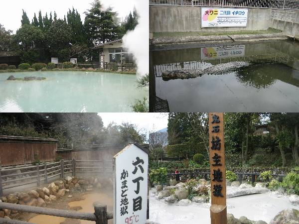 shing�|chang�̔���