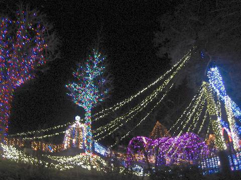 shing�|chang�̔���