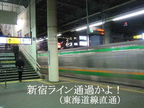 shing�|chang�̔���