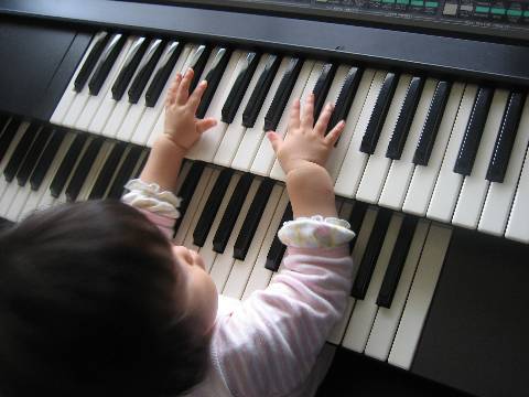 shing�|chang�̔���