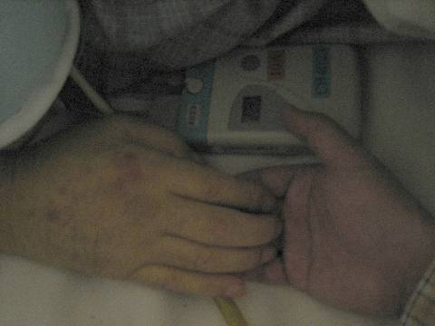 shing�|chang�̔���