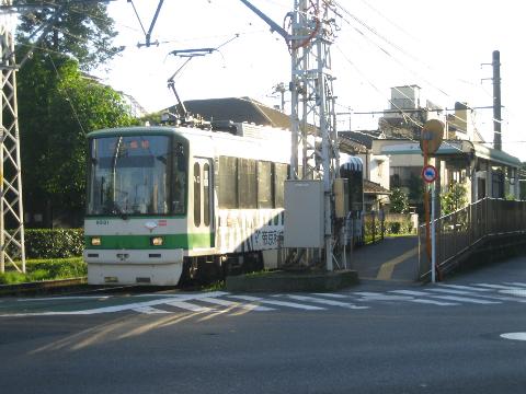 shing�|chang�̔���