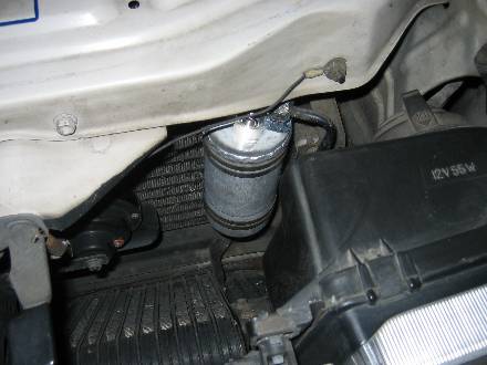 shing�|chang�̔���