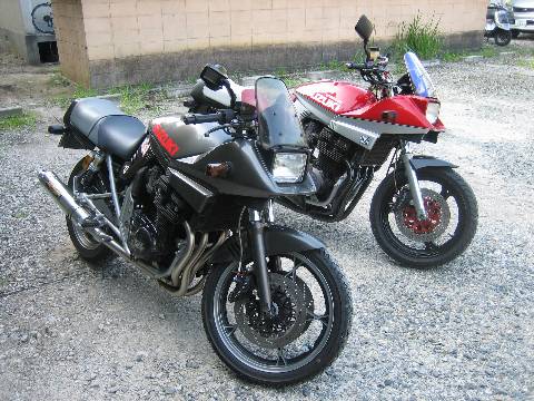 shing�|chang�̔���