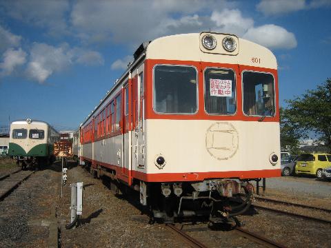 shing�|chang�̔���