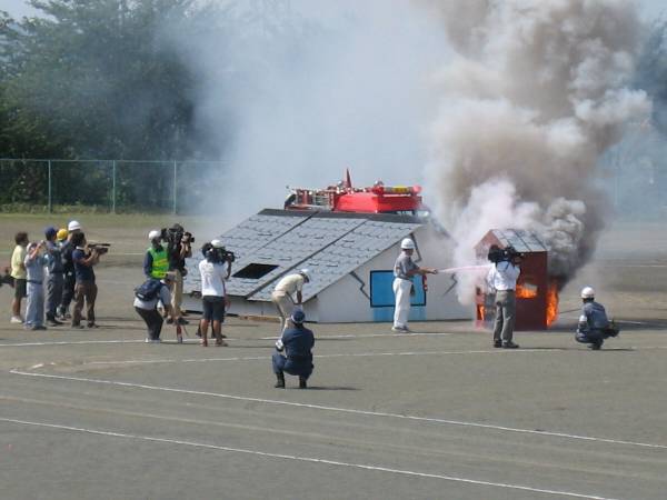 shing�|chang�̔���