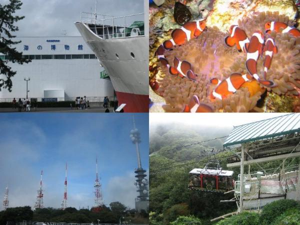 shing�|chang�̔���