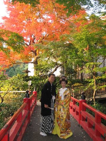 shing�|chang�̔���