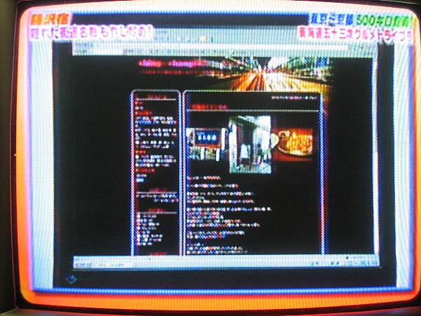 shing�|chang�̔���