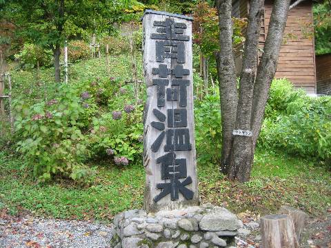 shing�|chang�̔���