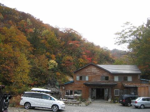 shing�|chang�̔���