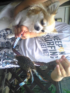 ��ꁕ�|�|���L