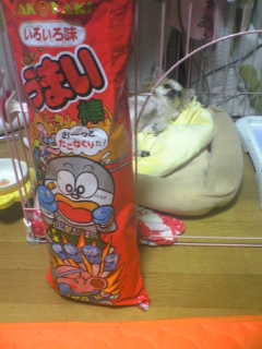 ��ꁕ�|�|���L