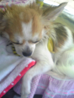 ��ꁕ�|�|���L