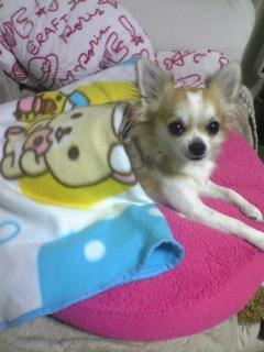 ��ꁕ�|�|���L