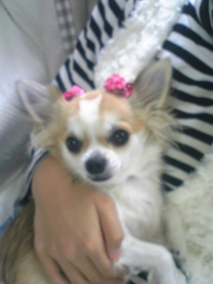 ��ꁕ�|�|���L