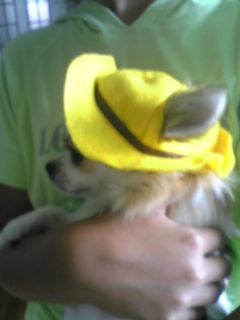 ��ꁕ�|�|���L