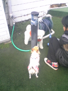 ��ꁕ�|�|���L