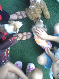 ��ꁕ�|�|���L