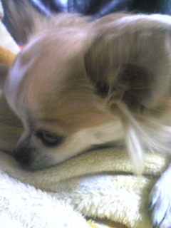 ��ꁕ�|�|���L