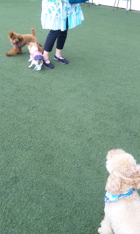 ��ꁕ�|�|���L