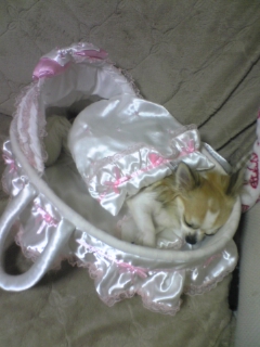 ��ꁕ�|�|���L