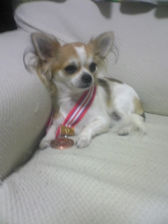 ��ꁕ�|�|���L