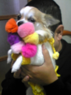 ��ꁕ�|�|���L