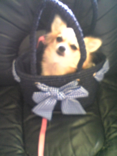 ��ꁕ�|�|���L