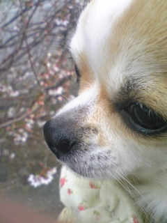 ��ꁕ�|�|���L