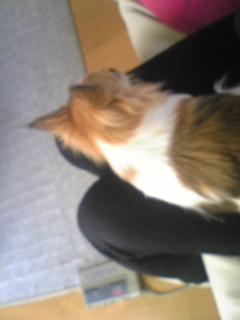 ��ꁕ�|�|���L