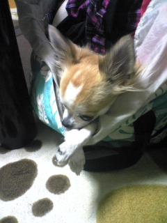 ��ꁕ�|�|���L