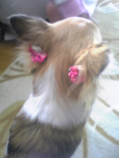 ��ꁕ�|�|���L