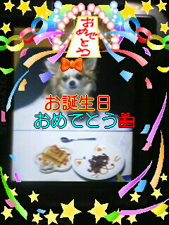 ��ꁕ�|�|���L