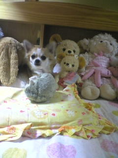 ��ꁕ�|�|���L