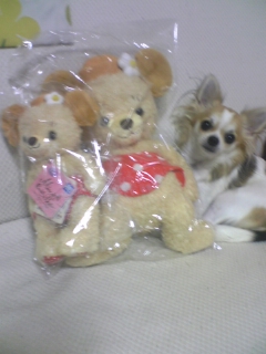 ��ꁕ�|�|���L