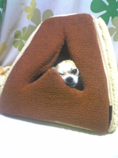 ��ꁕ�|�|���L