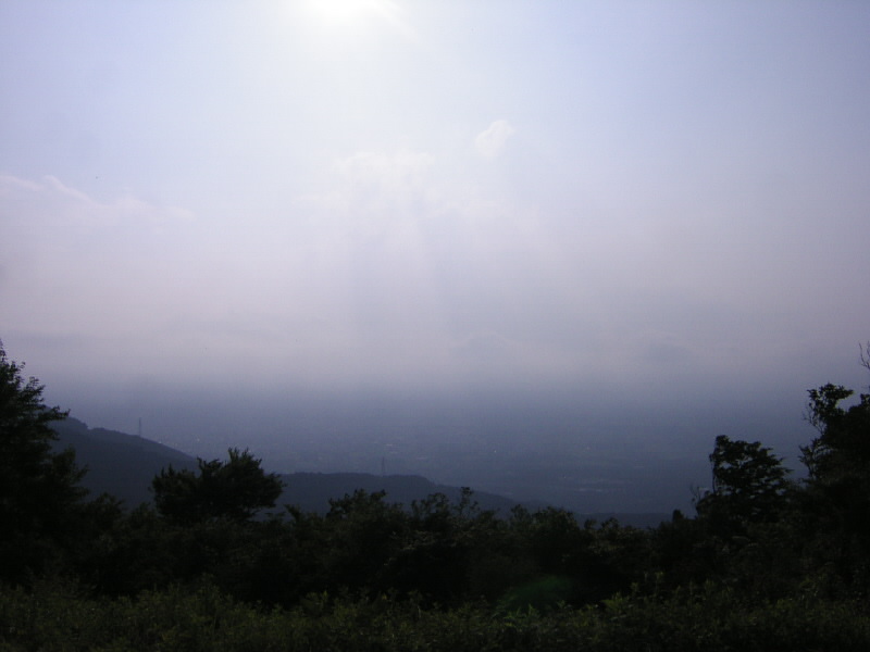 ���T�i���Z�l��