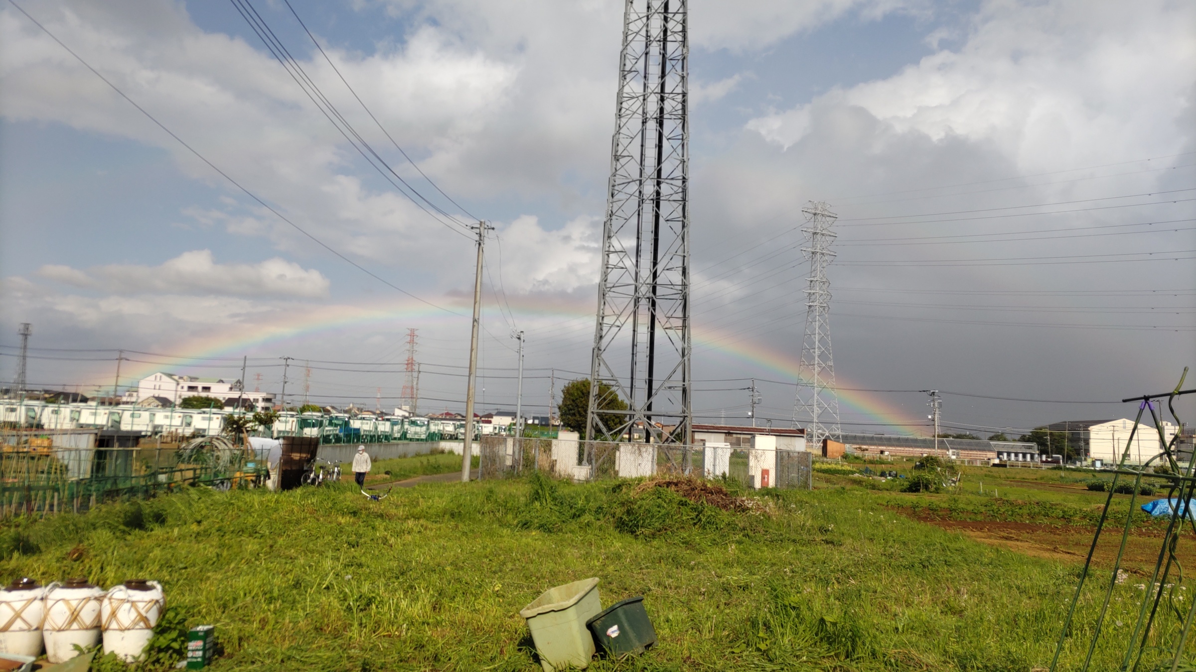 �N�V�S���[�̔��ώ@