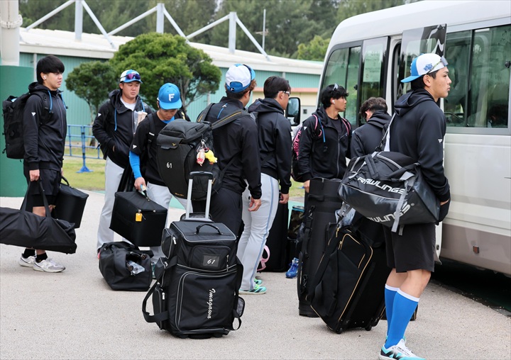 ���˂̃n���t�@��