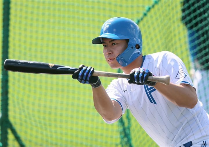 ���˂̃n���t�@��