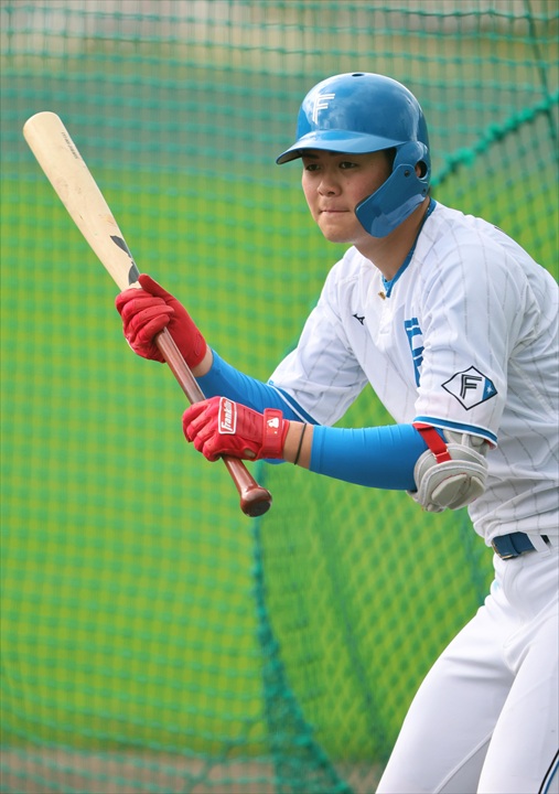 ���˂̃n���t�@��