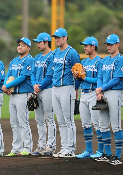 ���˂̃n���t�@��