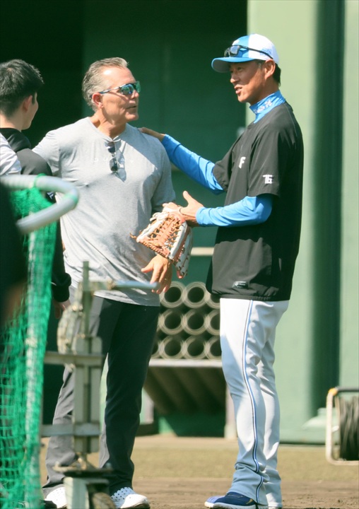 2��13���@�t�G�L�����v�@13���ځ@�����i���˂̃n���t�@���j