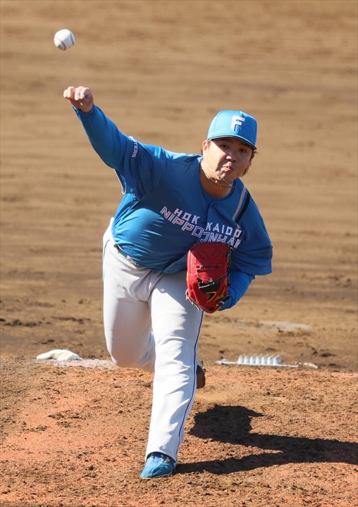 ���˂̃n���t�@��