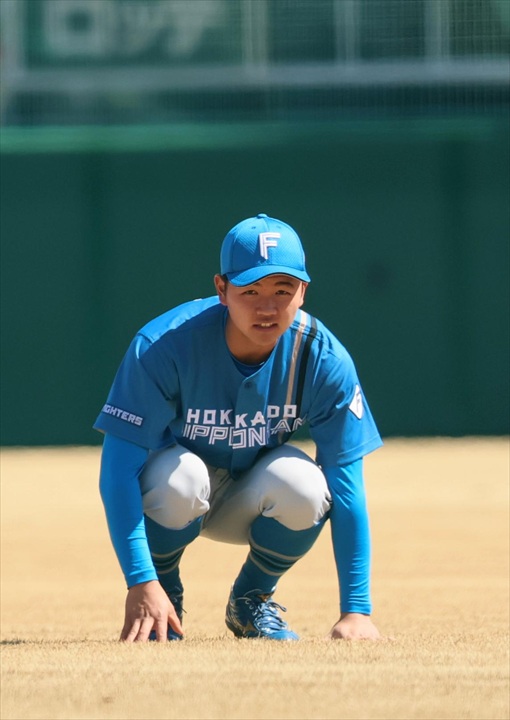 ����������i���˂̃n���t�@���j