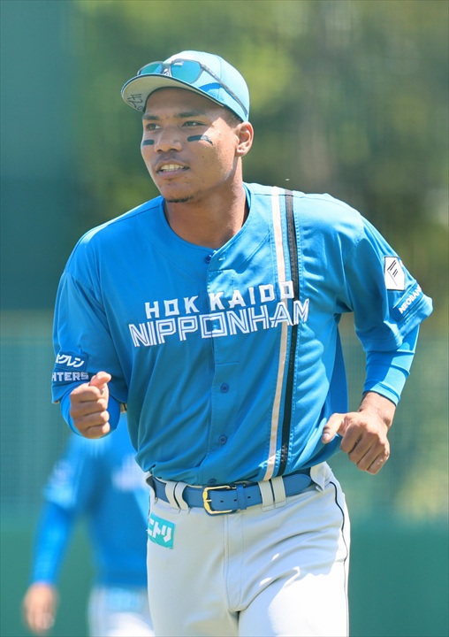 �����i���˂̃n���t�@���j